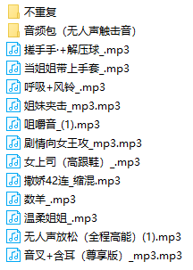 B站一只蛋舰长音频 27部 442MB-Asmr自留地